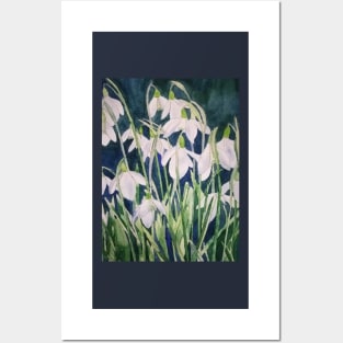 Snowdrops watercolour painting Posters and Art